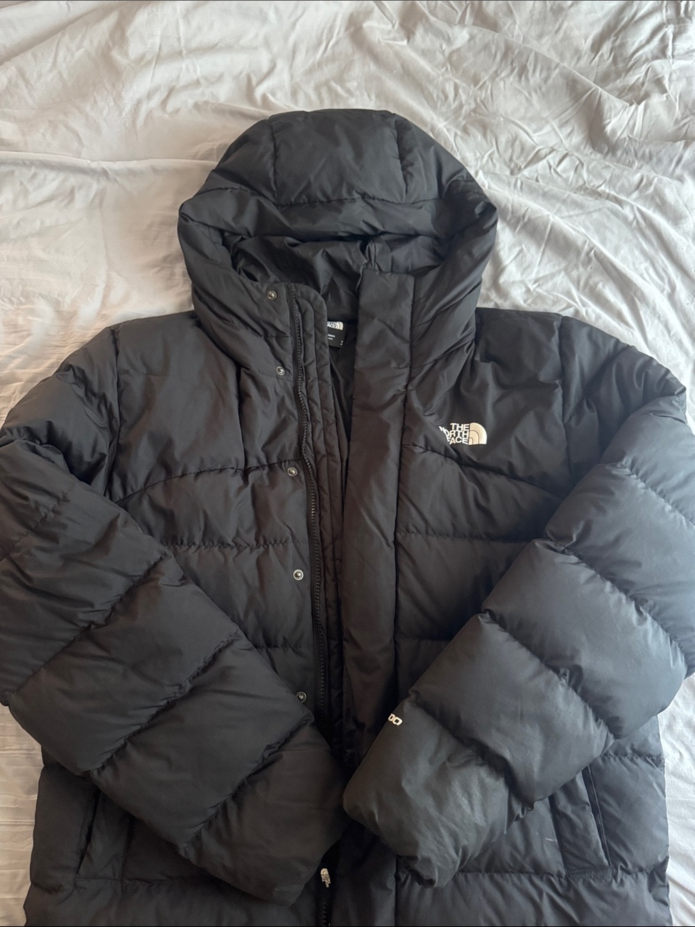 The North Face Black Mens Puffer Coat with Hood